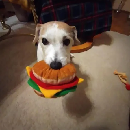 Timmestrand Apartmán