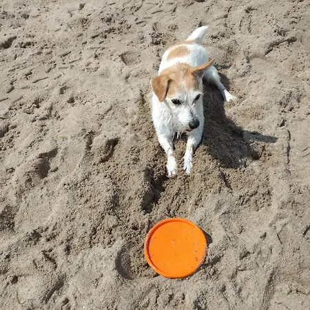 Daire Timmestrand Timmendorfer Strand